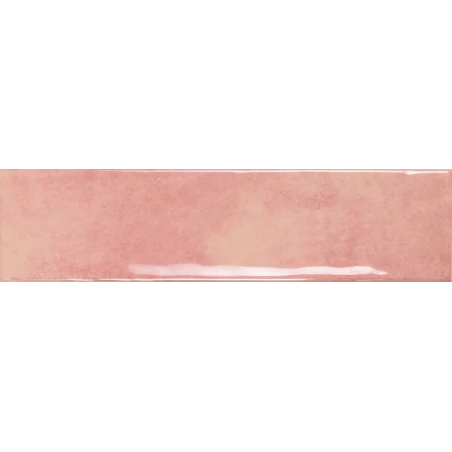 GLOBE ROSEBUD 7,5x30