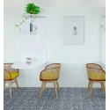 Bellezza Grey 20x20