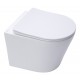 CADRE ROCA DUPLO ONE PACK BÂTI-SUPPORT ET PLAQUE DE COMMANDE PL7 BLANC MATE AVEC WC SUSPENDU RIM-EX INFINITIO BLANC MATE 48CM