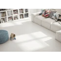 BLANCO PORCELÁNICO WHITE MATE 60X120 REC