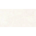 PRISMA WHITE MATE 60X120 REC