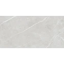 PRISMA SILVER PULIDO 60X120 REC