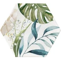 CREED HEX DECOR 23X27
