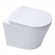 CADRE ROCA DUPLO ONE PACK BÂTI-SUPPORT ET PLAQUE DE COMMANDE PL1 BLANC BR AVEC WC SUSPENDU RIM-EX INFINITIO BL BR 48cm DE SAT