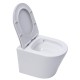 CADRE ROCA DUPLO ONE PACK BÂTI-SUPPORT ET PLAQUE DE COMMANDE PL1 BLANC BR AVEC WC SUSPENDU RIM-EX INFINITIO BL BR 48cm DE SAT