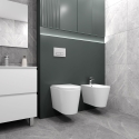 BASTIDOR ROCA ACTIVE CON CISTERNA EMPOTRADA Y PULSADOR PVC cromo brillo y WC susp. Orion blanco Tapa Fina 51,5 cm VORTEX KP